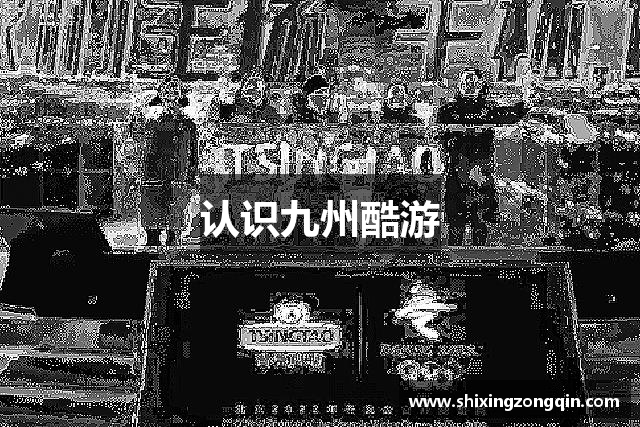 认识九州酷游